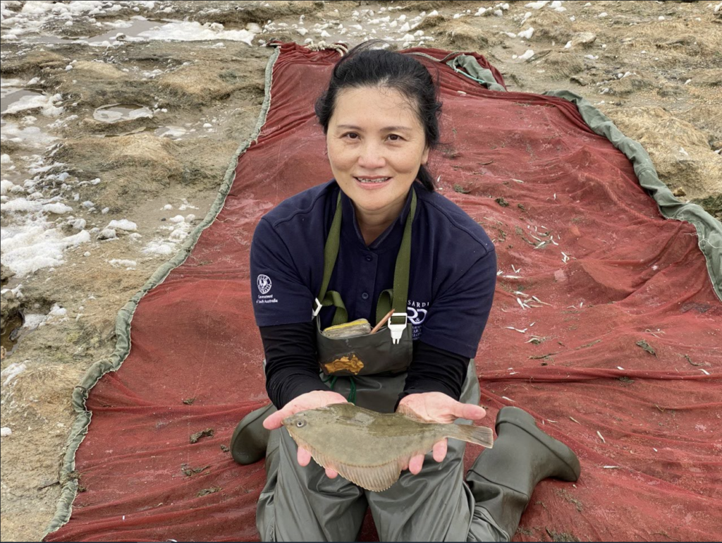 Associate Professore. Qifeng Ye (SARDI) holding a greenback flounder.
